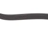 Ремінь генератора Renault Megane 1.9dCi/2.0 03- (7PK1127) HUTCHINSON 1127 K 7 (фото 3)