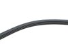Фото 3 - ремінь генератора Audi Q7/Q8 16- (4PK1135) HUTCHINSON 1135 K 4 Ремінь генератора Audi Q7/Q8 16- (4PK1135) HUTCHINSON 1135 K 4 (фото 3)