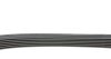 Фото 2 - ремінь генератора VW Caddy/T5 1.9TDI HUTCHINSON 1136 K 6 Ремінь генератора VW Caddy/T5 1.9TDI HUTCHINSON 1136 K 6 (фото 2)