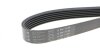 Фото 4 - ремінь генератора VW Caddy/T5 1.9TDI HUTCHINSON 1136 K 6 Ремінь генератора VW Caddy/T5 1.9TDI HUTCHINSON 1136 K 6 (фото 4)