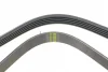 Ремінь генератора Fiat Palio 1.2 97-/Land Rover Freelander 1.8i 98-06 HUTCHINSON 1188 K 5 (фото 3)