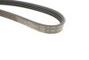 Ремень генератора Renault Clio/Kangoo 1.4i/1.6 98-03 (4PK1237) HUTCHINSON 1237 K 4 (фото 4)