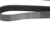Ремінь генератора Fiat Doblo 1.3D Multijet/1.3JTD/Ford Focus 1.8/2.0 04- (6PK1310) HUTCHINSON 1310 K 6 (фото 2)