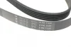Ремінь генератора Opel Corsa D 1.2/1.4 06-14 (5PK1335) HUTCHINSON 1335 K 5 (фото 4)