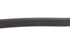 Ремінь генератора Citroen Berlingo/Jumpy/Peugeot Expert/Partner 1.6HDI (6PK1355) HUTCHINSON 1355 K 6 (фото 3)
