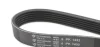 Ремінь генератора Ford Transit 2.5D/TD 94-00 (6PK1432) HUTCHINSON 1432 K 6 (фото 3)