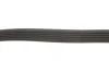 Ремінь генератора Citroen Berlingo/Fiat Scudo 1.9D (6PK1435) HUTCHINSON 1435 K 6 (фото 4)