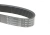 Ремень генератора (поликлиновый) HUTCHINSON 1605 K 7 (фото 4)