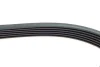 Ремінь генератора VW LT 2.8TDI 96KW/Ford Transit 2.0DI 00-14 (6PK1637) HUTCHINSON 1637 K 6 (фото 4)