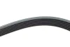 Ремінь генератора VW LT 2.8TDI 96KW/Ford Transit 2.0DI 00-14 (6PK1642) HUTCHINSON 1642 K 6 (фото 4)