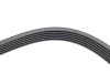 Ремінь генератора Renault Megane I/Ford Transit 2.0 94-00 (6PK1650) HUTCHINSON 1650 K 6 (фото 4)