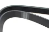 Ремінь генератора Fiat Scudo/Citroen Berlingo/VW Golf IV 1.8/1.9TDI 97- (6PK1660) HUTCHINSON 1660 K 6 (фото 2)