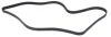 Ремінь генератора Ford Connect 1.8TDCi 06-14/Citroen C5 2.0HDi 00- (6PK1745) HUTCHINSON 1745 K 6 (фото 2)