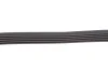Ремінь генератора Renault Kangoo 1.4/1.6i, 97- (5PK1750) HUTCHINSON 1750 K 5 (фото 3)