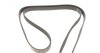 Фото 5 - ремінь генератора Renault Laguna 2.2 dCi 01- HUTCHINSON 1778 K 6 Ремінь генератора Renault Laguna 2.2 dCi 01- HUTCHINSON 1778 K 6 (фото 5)
