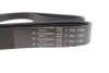 Фото 4 - ремінь генератора Renault Megane III/Scenic III 1.4 16V (JZ0F, JZ1V) 09- HUTCHINSON 1785 K 7 Ремінь генератора Renault Megane III/Scenic III 1.4 16V (JZ0F, JZ1V) 09- HUTCHINSON 1785 K 7 (фото 4)