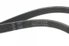 Ремінь генератора Volvo 2.0T/2.4D/3.0T6 01-08 HUTCHINSON 1825 KDF 6 (фото 2)