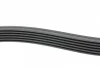 Ремінь генератора Audi/BMW/Chevrolet/MB/Opel (6PK1875) HUTCHINSON 1875 K 6 (фото 2)