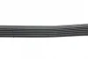 Ремінь генератора Honda Accord VIII 2.0 I 08-/ Land Rover Range Rover II 3.9-4.6 94-02 HUTCHINSON 2080 K 7 (фото 2)
