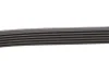 Ремінь генератора Citroen C4/Peugeot 307 1.6HDi 04- (6PK780) HUTCHINSON 780 K 6 (фото 4)