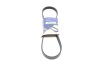 Ремень генератора Ford Focus 1.4/1.6 Ti 03- (5PK868) HUTCHINSON 868 SK 5 (фото 1)
