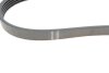 Ремень генератора Ford Focus 1.4/1.6 Ti 03- (5PK868) HUTCHINSON 868 SK 5 (фото 2)