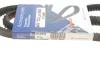 Ремінь генератора VW Golf/Toyota Corolla 1.6-2.0D 76-00 (13x950) HUTCHINSON AV 13 La 950 (фото 5)