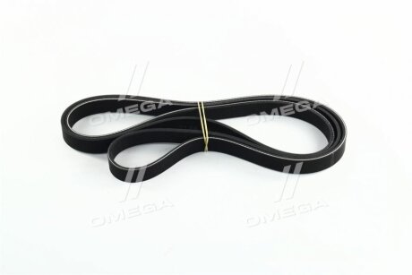 Фото ремінь генератора Hyundai/Kia/Mobis 252122B000 Ремінь генератора Hyundai/Kia/Mobis 252122B000