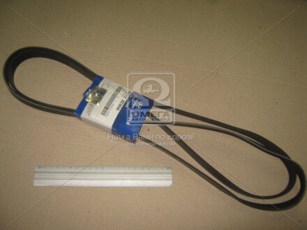 Фото ремінь поліклиновий (Mobis) Hyundai/Kia/Mobis 252122E800 Ремінь поліклиновий (Mobis) Hyundai/Kia/Mobis 252122E800