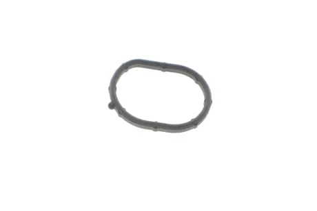Прокладка термостата Hyundai ix35/Santa Fe/Kia Sorento 2.4 09- HYUNDAI Hyundai/Kia/Mobis 256422G500
