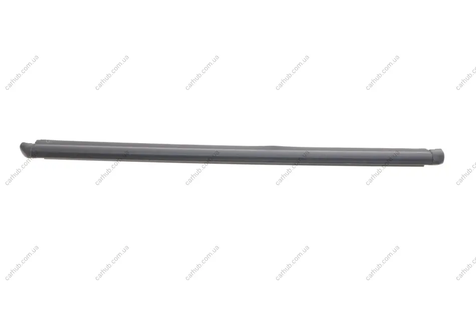 Ущільнювач скла дверей (задніх/зовнішній/L) Hyundai Getz 02-11 Hyundai/Kia/Mobis 832101C001 (фото 1)