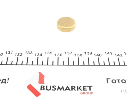 Заглушка блоку циліндрів (d=21mm) Латунь/Brass IMPERGOM 40954