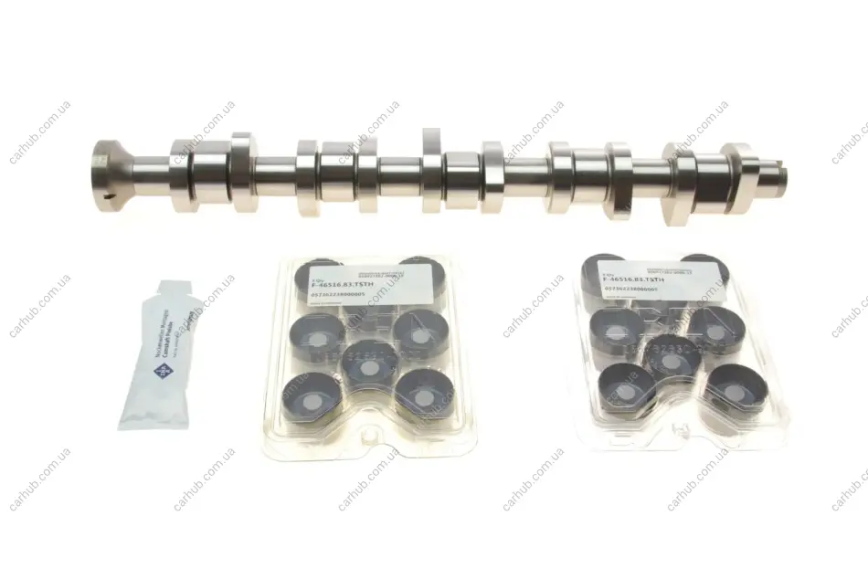 Комплект розподільчого валу VW T5 2.5 TDI 03-09, 96/120/128kw, (BNZ,AXD,BPC,AXE,BLJ) INA 428 0040 30 (фото 1)