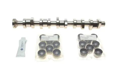 Комплект розподільчого валу VW T5 2.5 TDI 03-09, 96/120/128kw, (BNZ,AXD,BPC,AXE,BLJ) INA 428 0040 30