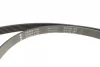 Комплект ременя генератора Ford Fiesta/Mazda 2 1.4D 01-12 (6PK 1705) INA 529 0012 10 (фото 2)