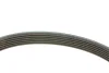 Комплект ременя генератора BMW 1 (E87/E88)/3 (E46/E90)/5 (E60) 1.6-2.0 01-10, N46B20, (6PK1870) INA 529 0044 10 (фото 3)