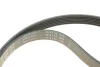 Комплект ременя генератора BMW 1 (E87/E88)/3 (E46/E90)/5 (E60) 1.6-2.0 01-10, N46B20, (6PK1870) INA 529 0044 10 (фото 4)
