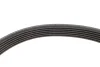 Комплект ременя генератора Citroen Berlingo/Peugeot Expert/Partner 1.6 HDi05- (6PK1708) INA 529 0046 10 (фото 3)