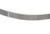 Комплект ременя генератора BMW 3 (E90/E91/E92/E93) 06-13 (7PK1103) N43B16/B20 INA 529 0049 10 (фото 3)