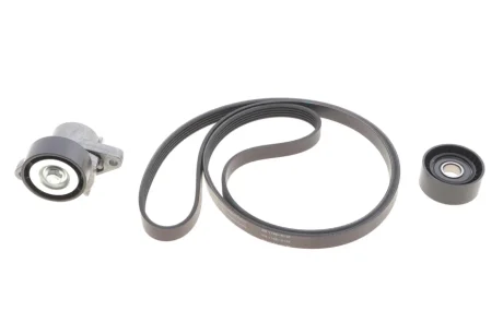Комплект ременя генератора Renault Megane/Scenic 00-09, (5PK1750) INA 529 0082 10