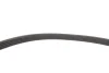 Комплект ременя генератора Renault Megane/Scenic 00-09, (5PK1750) INA 529 0082 10 (фото 9)
