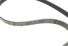 Комплект ременя генератора VW Passat 96-05 (5PK1300) INA 529 0096 10 (фото 2)