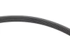 Комплект ременя генератора VW Passat 96-05 (5PK1300) INA 529 0096 10 (фото 3)