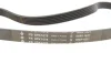 Комплект ременя генератора Audi A2/Seat Ibiza/Skoda Fabia/VW Golf/Polo 1.4/1.6/1.6FSI 97- (6PK 1078) INA 529 0103 10 (фото 2)