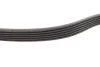 Комплект ременя генератора Audi A2/Seat Ibiza/Skoda Fabia/VW Golf/Polo 1.4/1.6/1.6FSI 97- (6PK 1078) INA 529 0103 10 (фото 3)