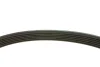Комплект ременя генератора Citroen Jumpy/Peugeot Expert 1.9D 98-06 (6PK1390) INA 529 0157 10 (фото 3)
