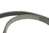 Комплект поликлинових ременів (з роликами) OPEL ASTRA H, ASTRA H GTC, ZAFIRA B 1.9D 04.04-04.15 INA 529 0190 10 (фото 4)