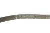 Комплект ременя генератора Citroen Jumper/Peugeot Boxer 2.2 HDi 06- (6PK1640/4EPK922) INA 529 0322 10 (фото 8)