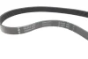 Комплект ременя генератора Citroen Berlingo/Jumpy/Peugeot Expert/Partner 1.6 HDi 08- INA 529 0335 10 (фото 2)