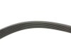 Комплект ременя генератора Opel Astra/Insignia 2.0 CDTI 08-17 (6PK1903) INA 529 0348 10 (фото 2)